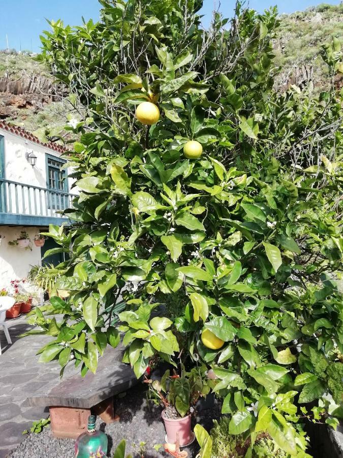 Grosse Finca 19Jh, Pool, Terrasse, Nahe Santa Cruz Santa Cruz de la Palma  Luaran gambar