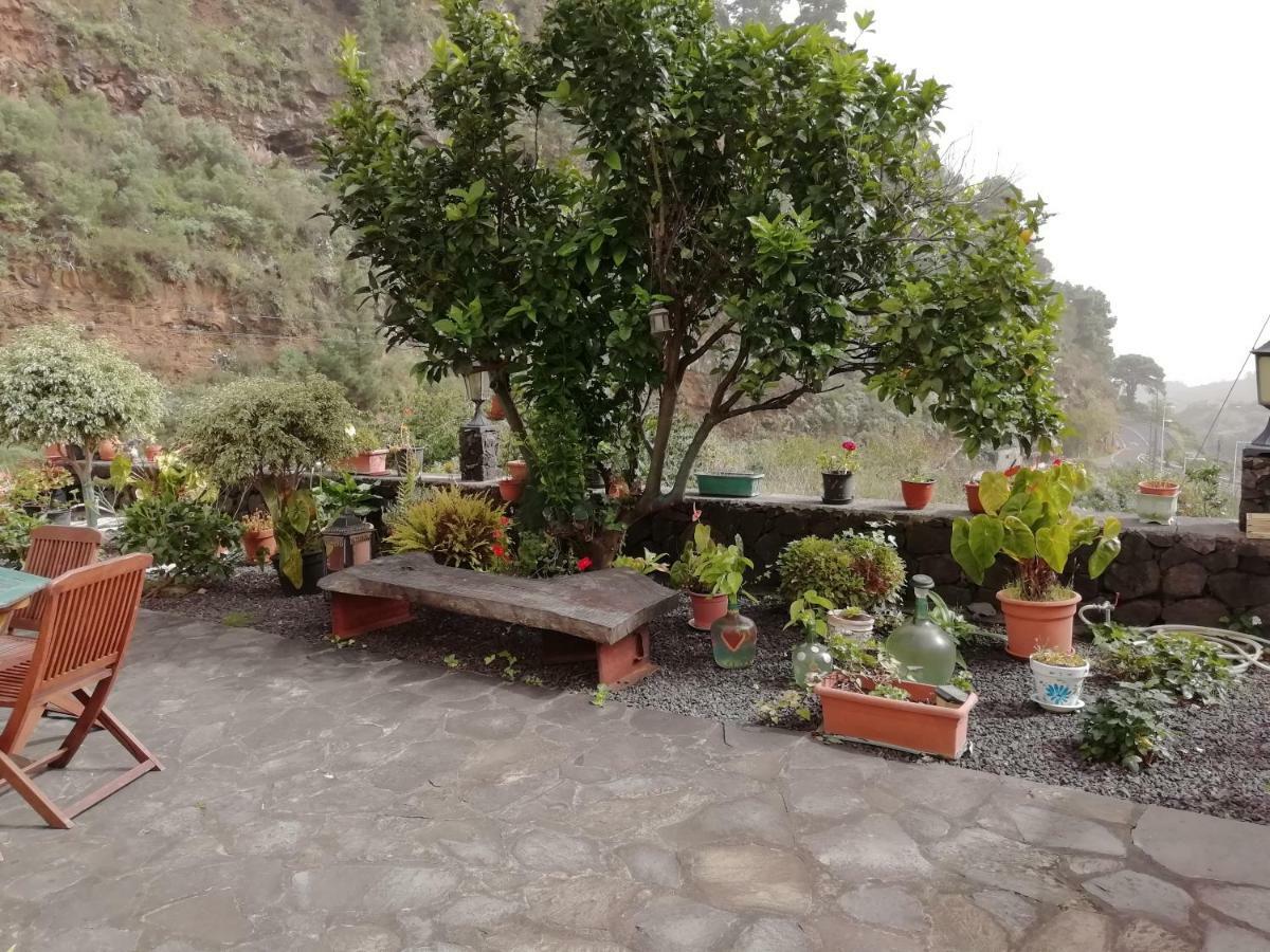 Grosse Finca 19Jh, Pool, Terrasse, Nahe Santa Cruz Santa Cruz de la Palma  Luaran gambar