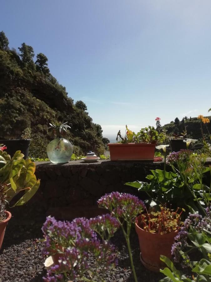 Grosse Finca 19Jh, Pool, Terrasse, Nahe Santa Cruz Santa Cruz de la Palma  Luaran gambar